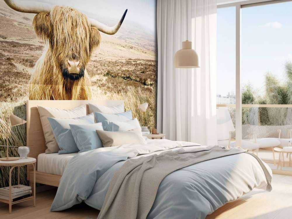 Skotsk hoglandare med vass