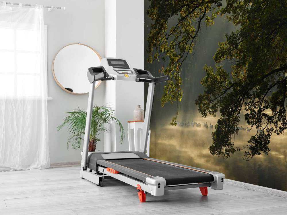 Överhängoche grenar ovanför vattnet