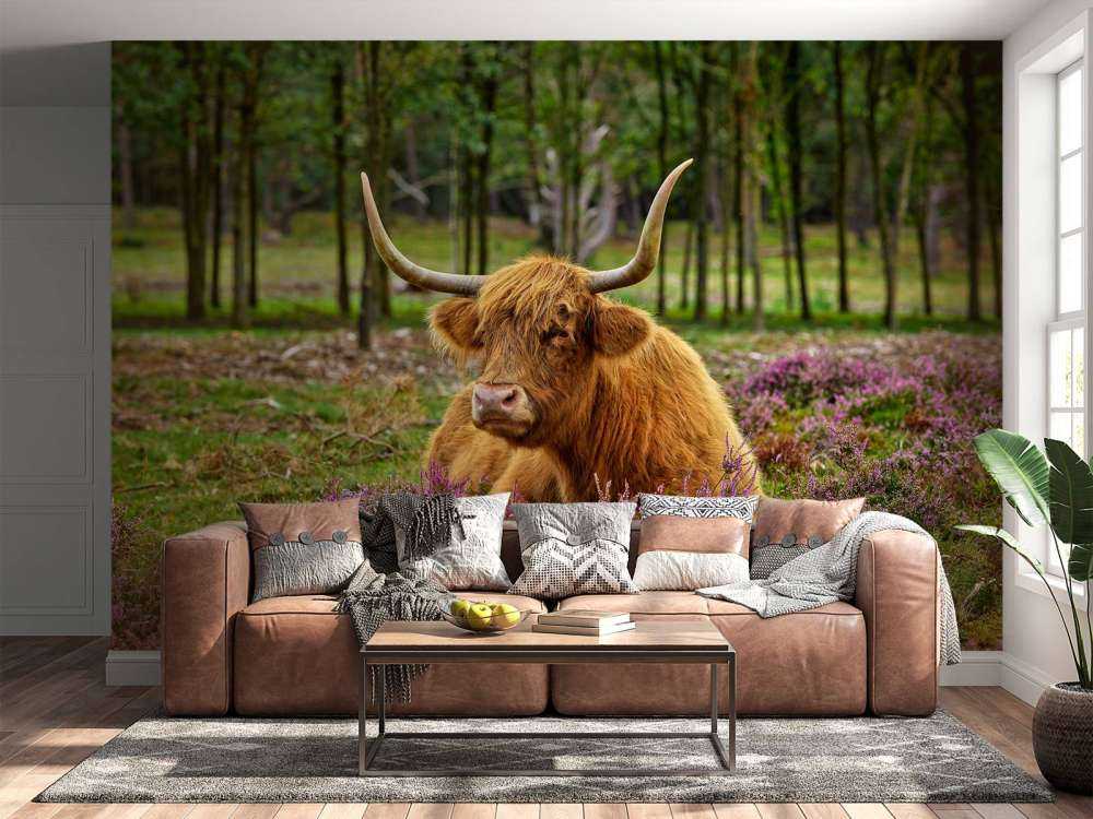 Skotsk hoglandare mellan lila ljung