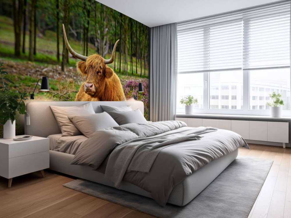 Skotsk hoglandare mellan lila ljung