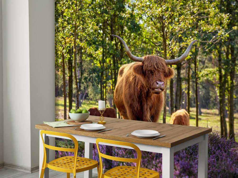 hoglandare i naturreservat