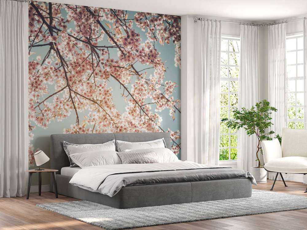 Körsbärsröd blomning med blå himmel