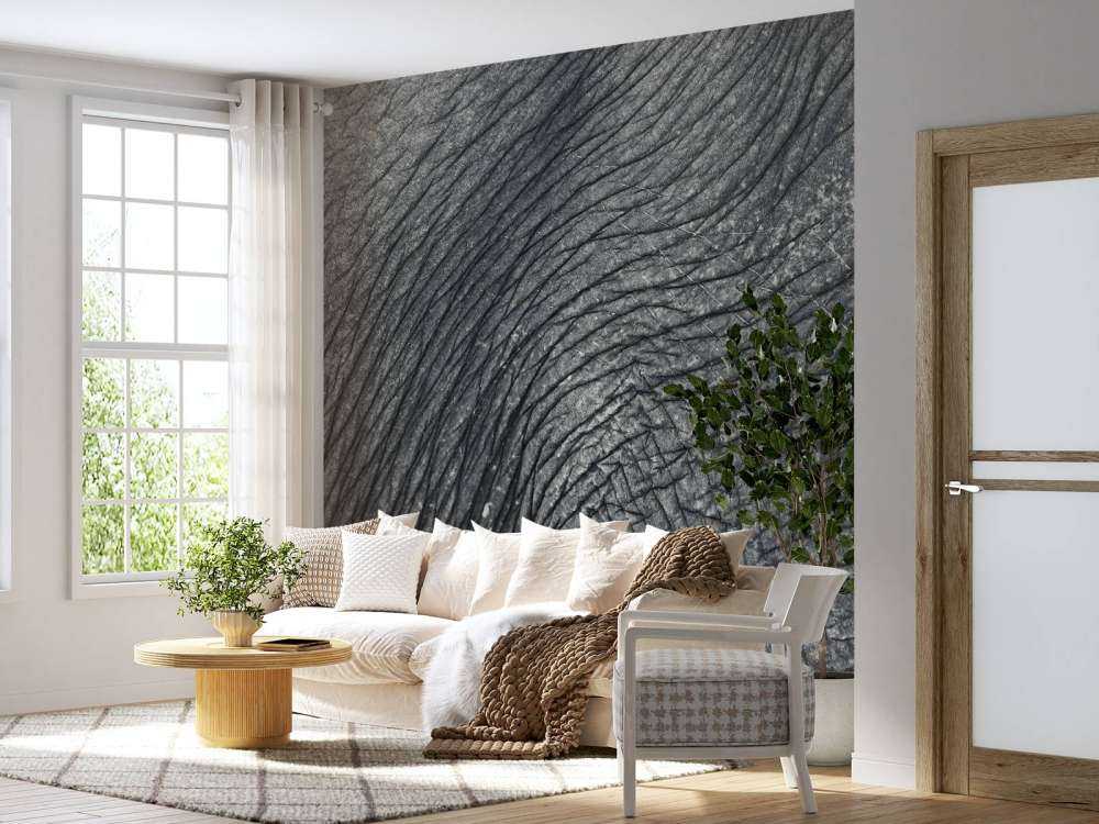Närbild elefant hud
