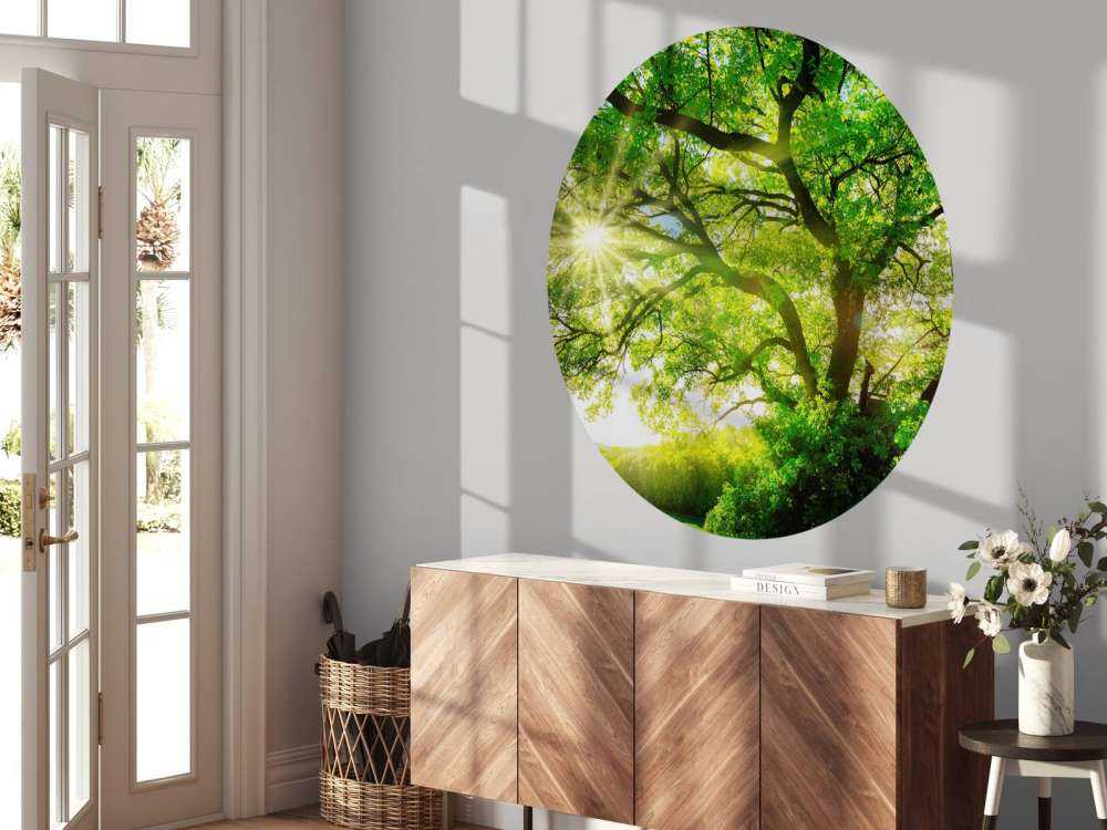 Träd med solstrålar