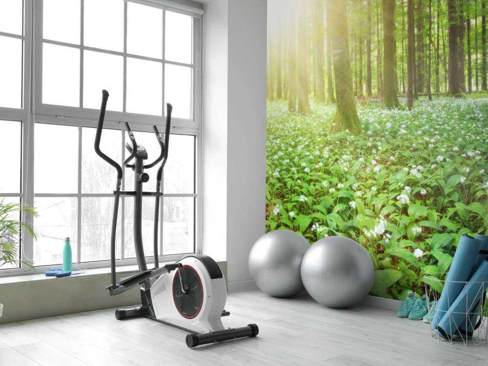 Vild skog vid soluppgång