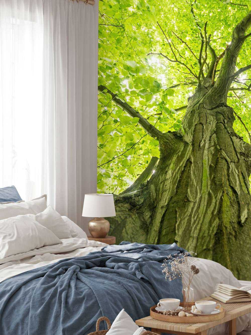Stort träd i skogen