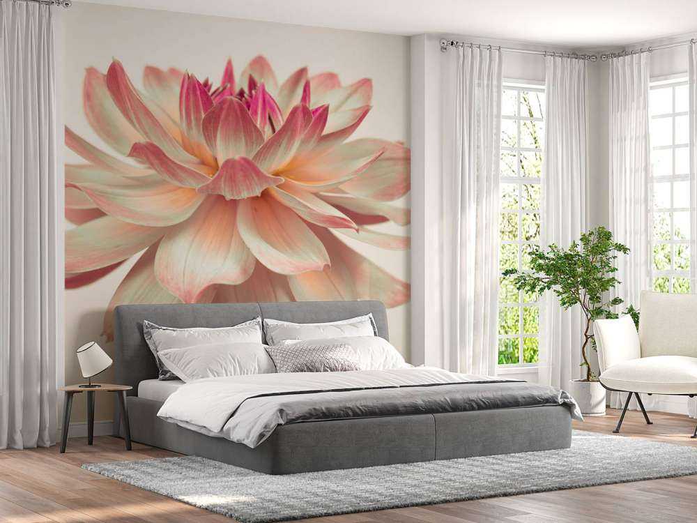 Dahlia blomma