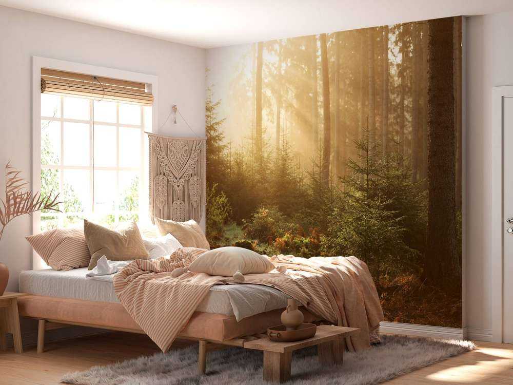 Solstrålar genom skogen