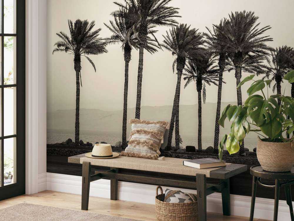 Palmer svart och vitt