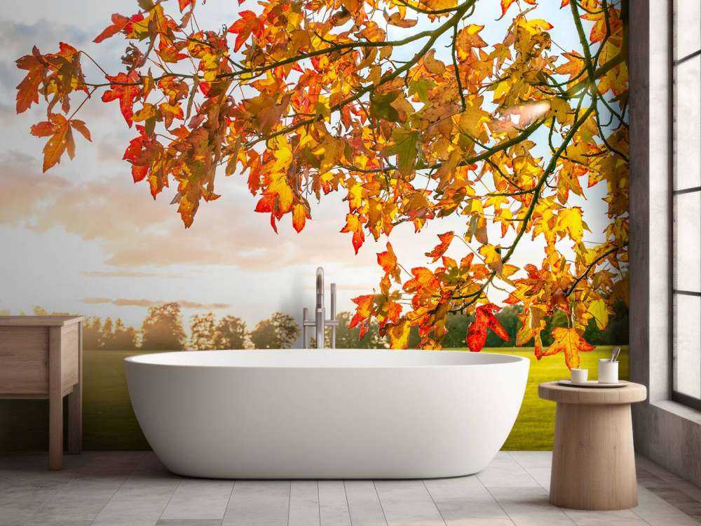 Höstträd i solnedgången