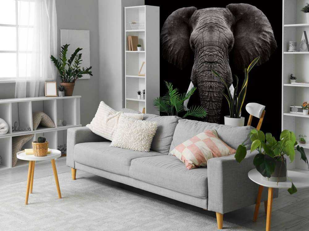 Dark Elephant