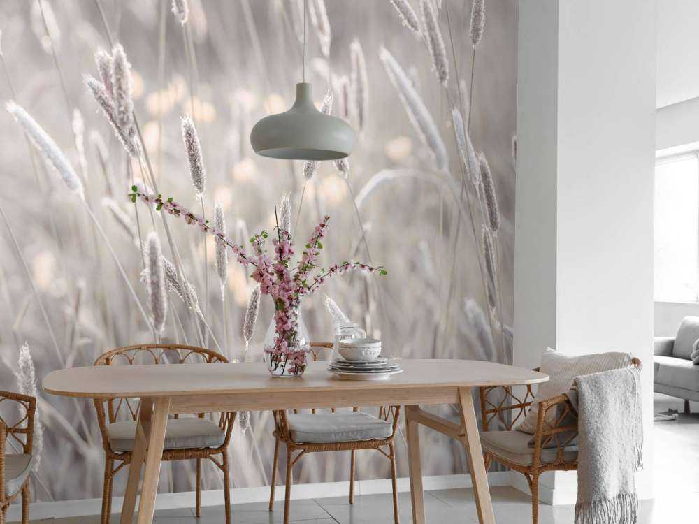 Nærbillede af engen