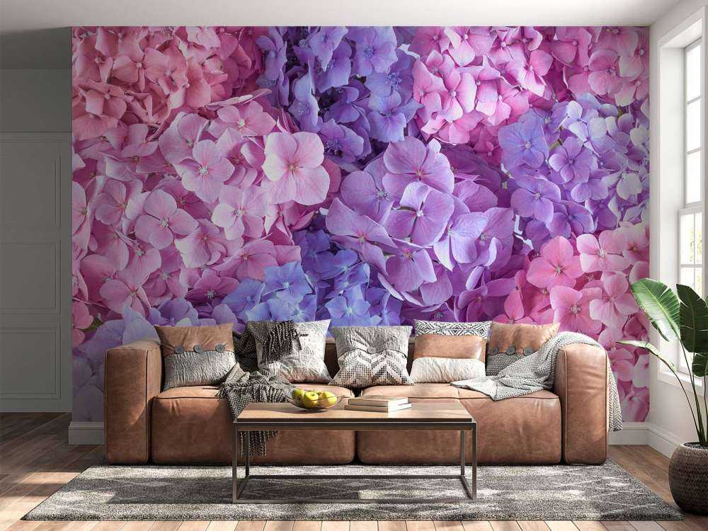 Farverige hortensiaer