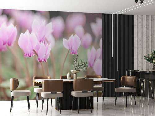 Smukke vedbend blomster