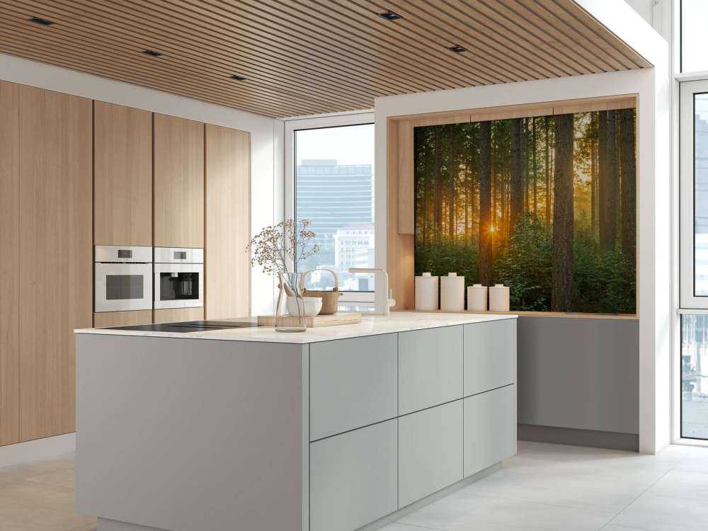 Solstråler i en nåletræsskov