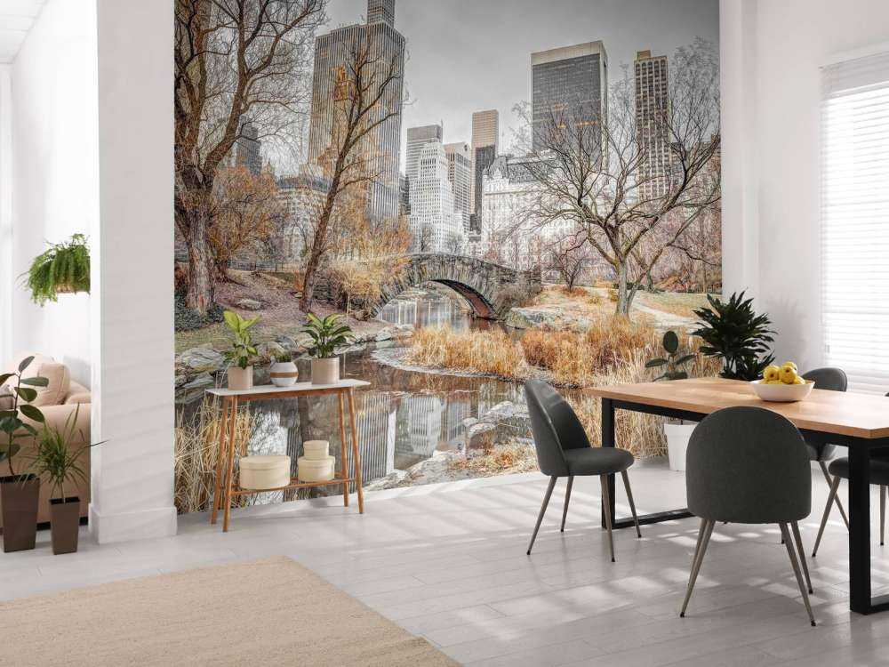 Central park om vinteren