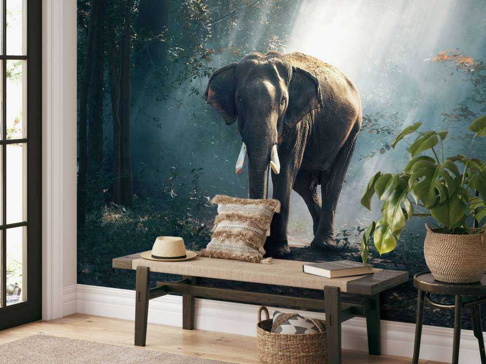 Elefant i en jungle