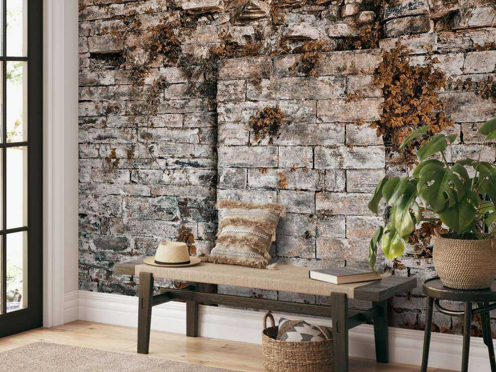 Vegetationsklædt væg om efteråret