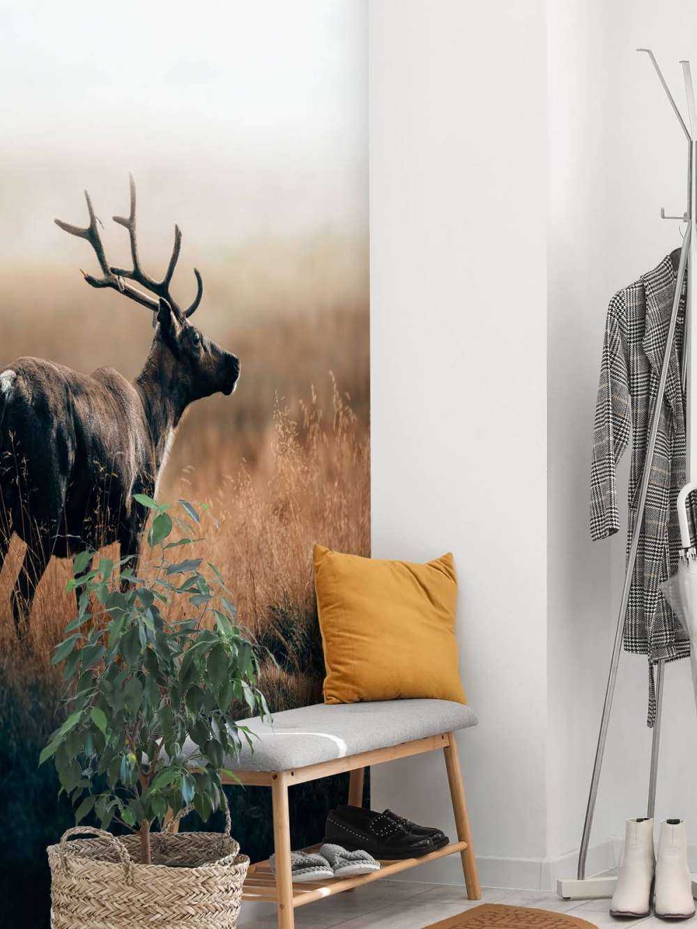 Rensdyr i det høje græs