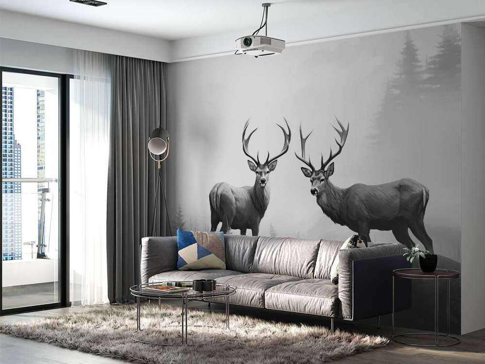 Tågeskovens hjortesymmetri