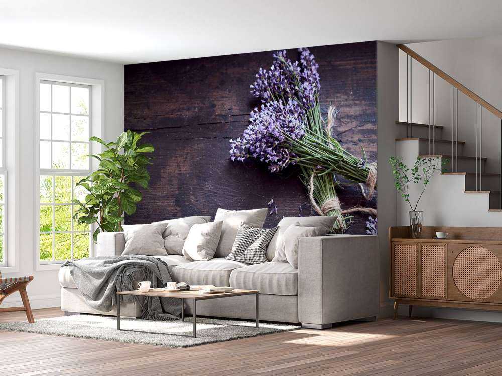 Buske af lavendel