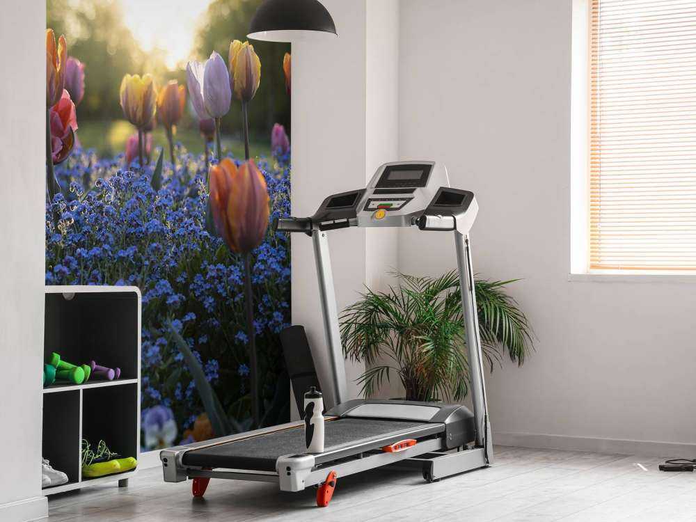 Munter tulipanfelt