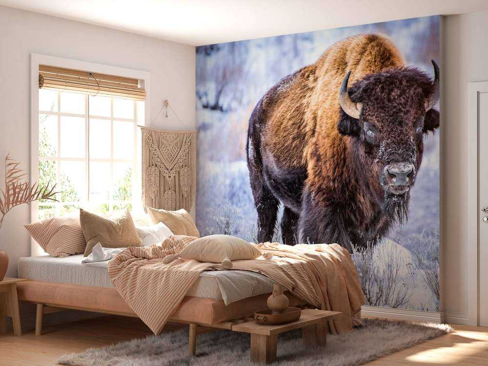 Bison