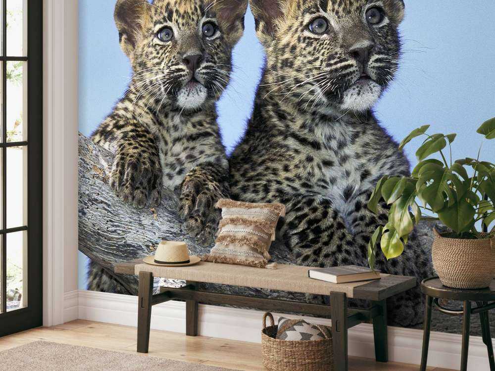 Små leoparder