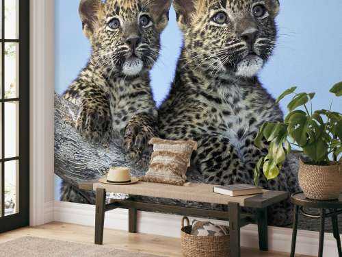 Små leoparder