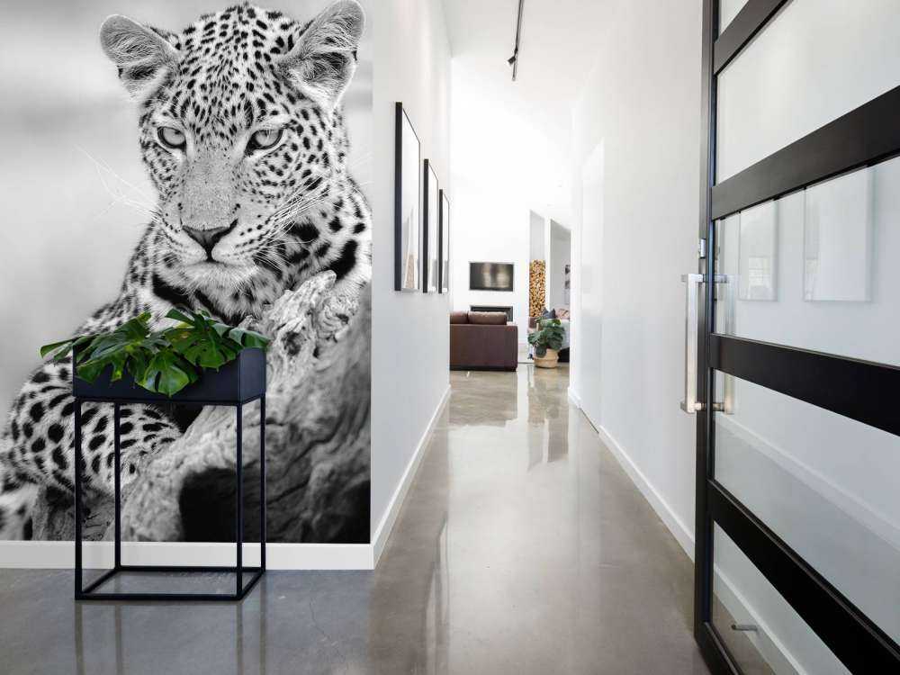 Leopard sort, hvid