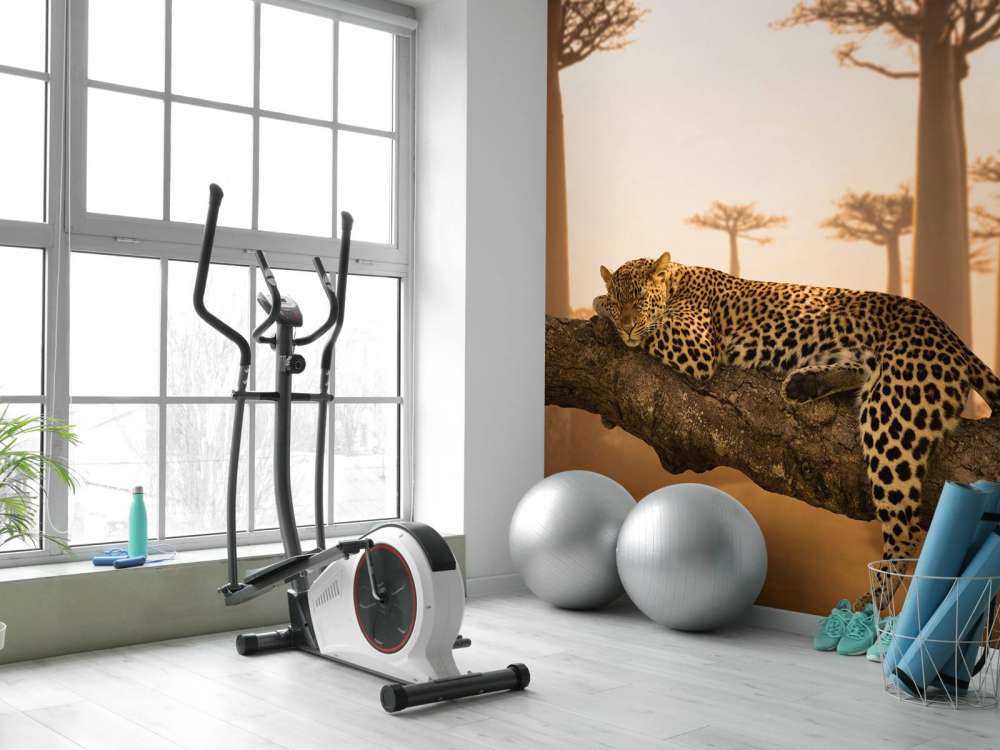 Sovende leopard