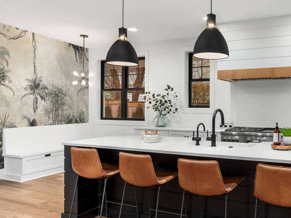 Tropisk skov i tåge