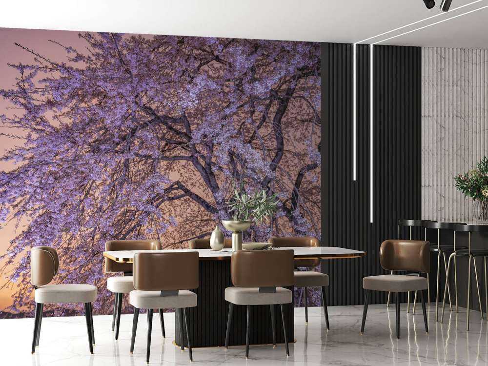 Blomstrer ved solnedgang