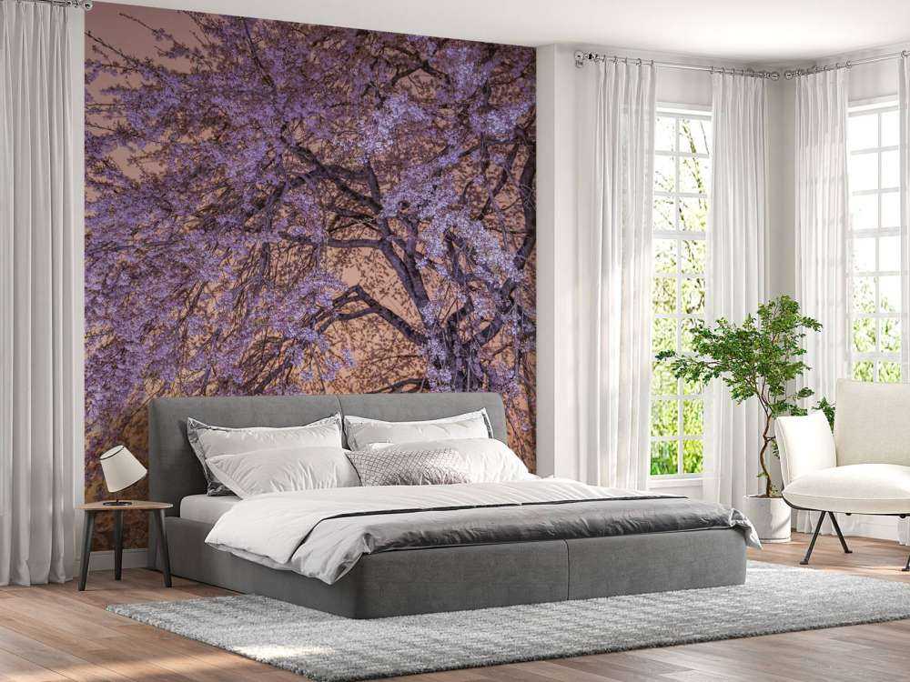 Blomstrer ved solnedgang