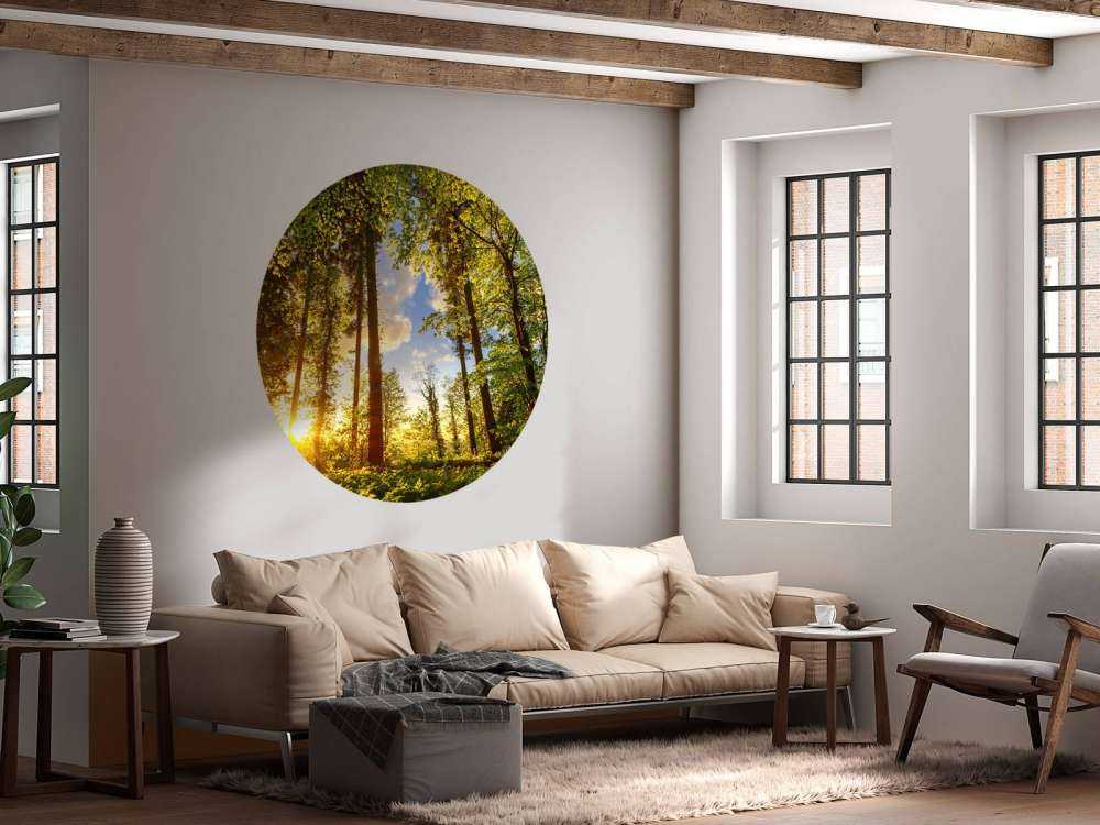 Solnedgang gennem træerne