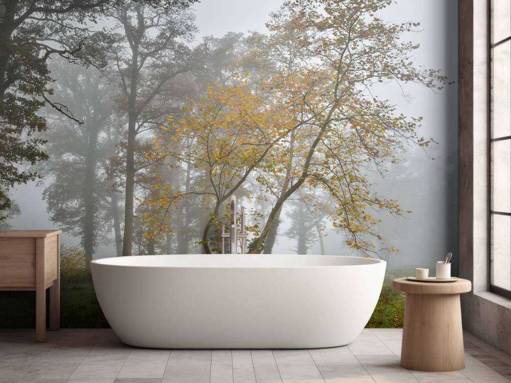 Græsmark med træer og tåge