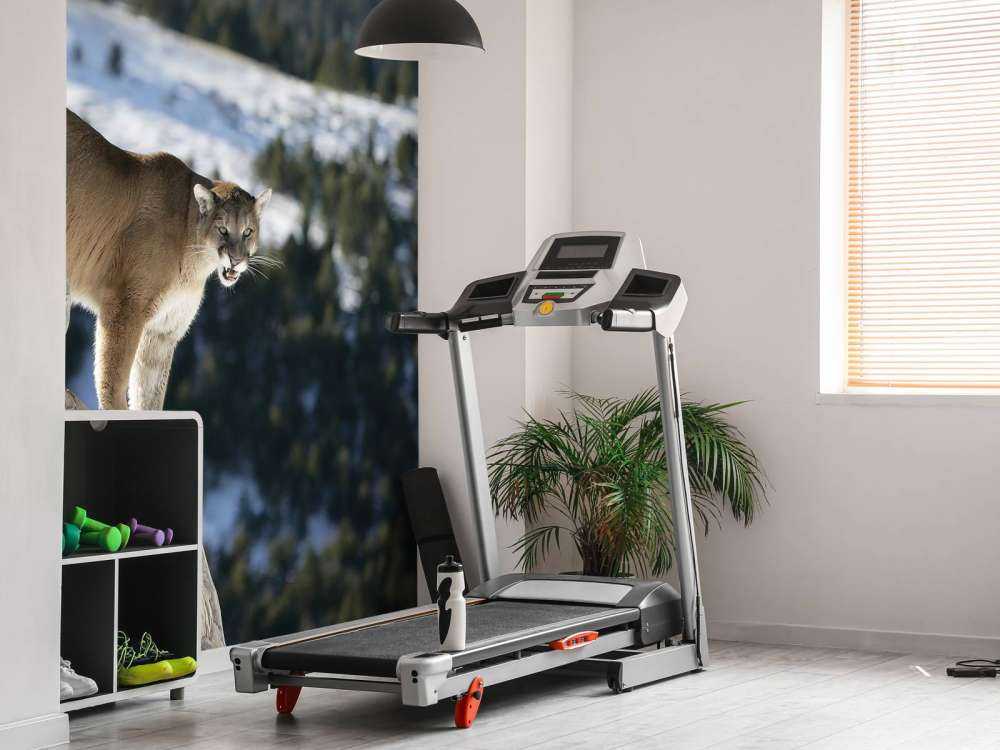 Fjelløve på et dødt tre