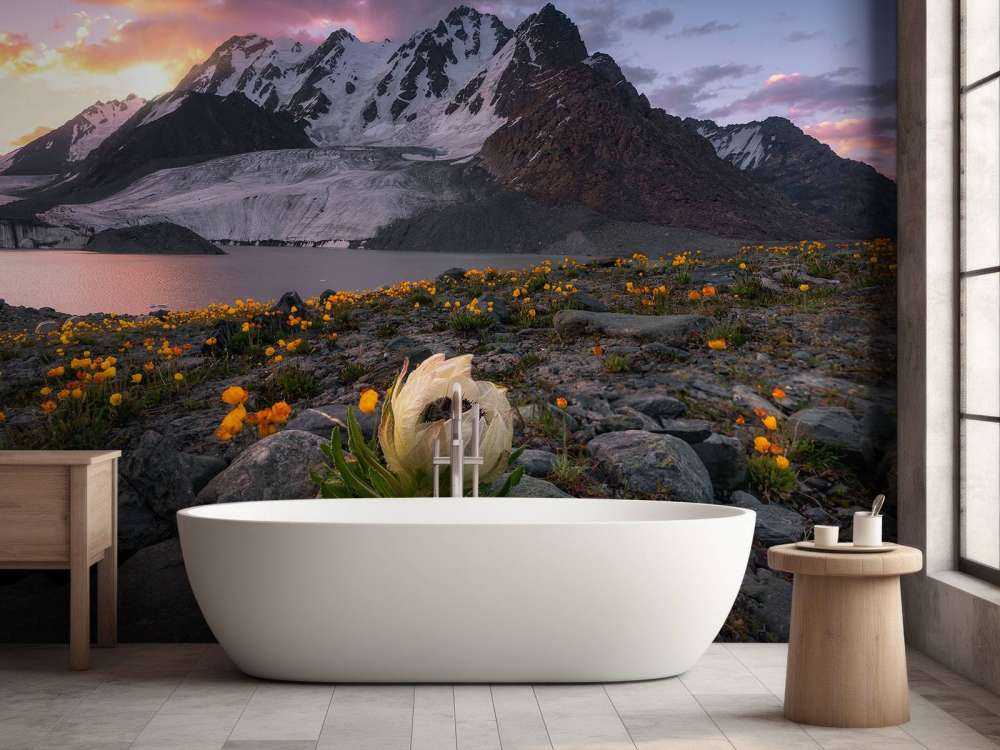 Morning at Saussurea