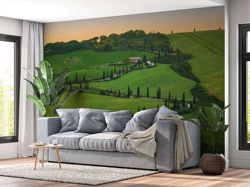 Svingete vei med sypresser