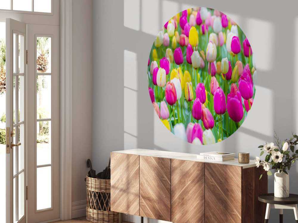 Fargerike tulipaner i en åker