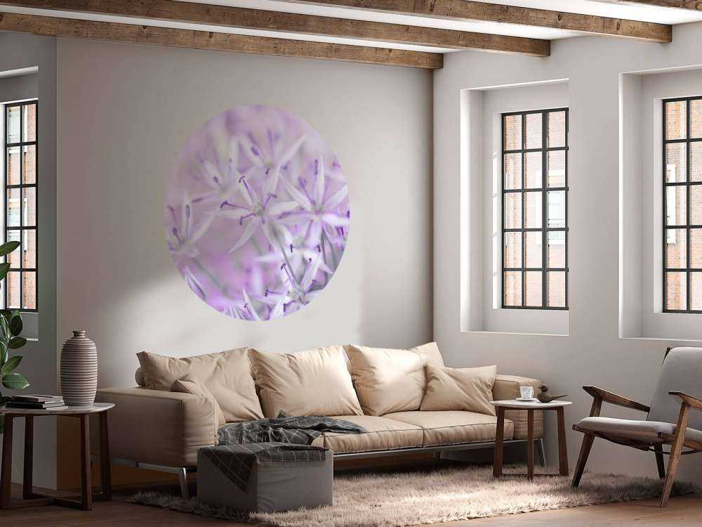 Nærbilde allium blomster