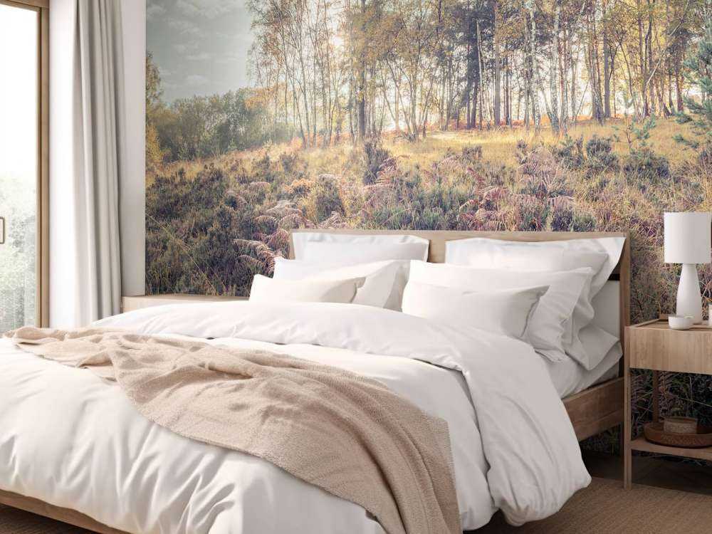 Skog om morgenen