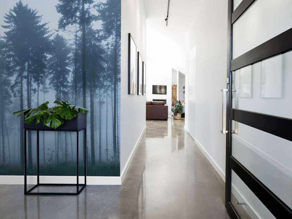 Det tåkefulle landskapet