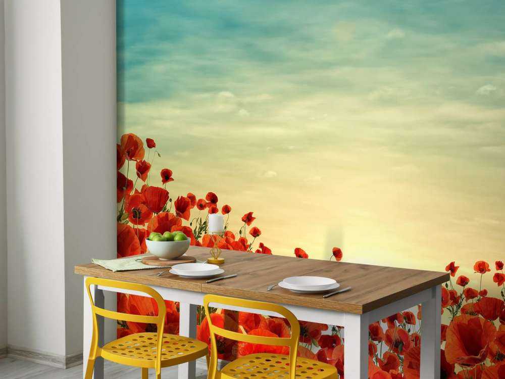 Valmuer med solnedgang