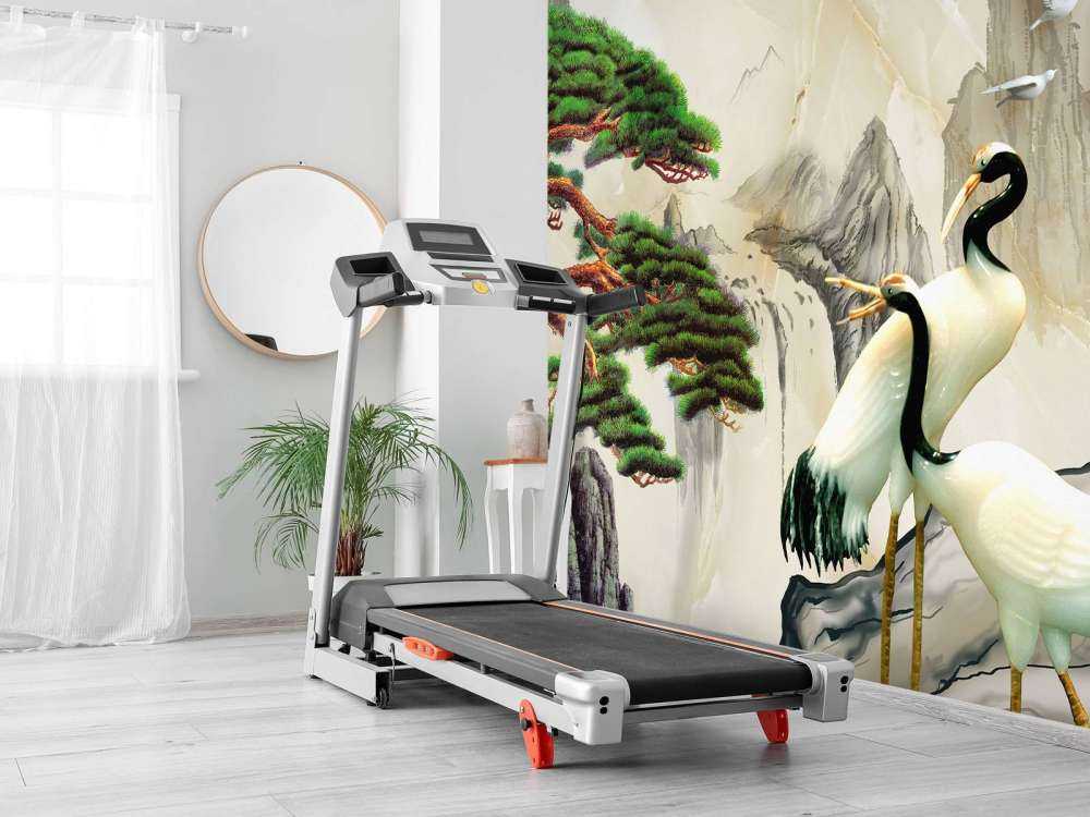 Kraner i en fantasiverden