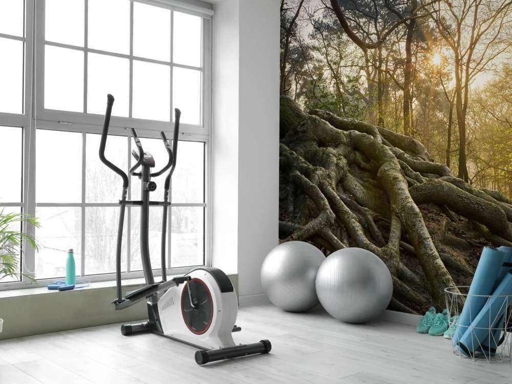 Trerøtter over bakken