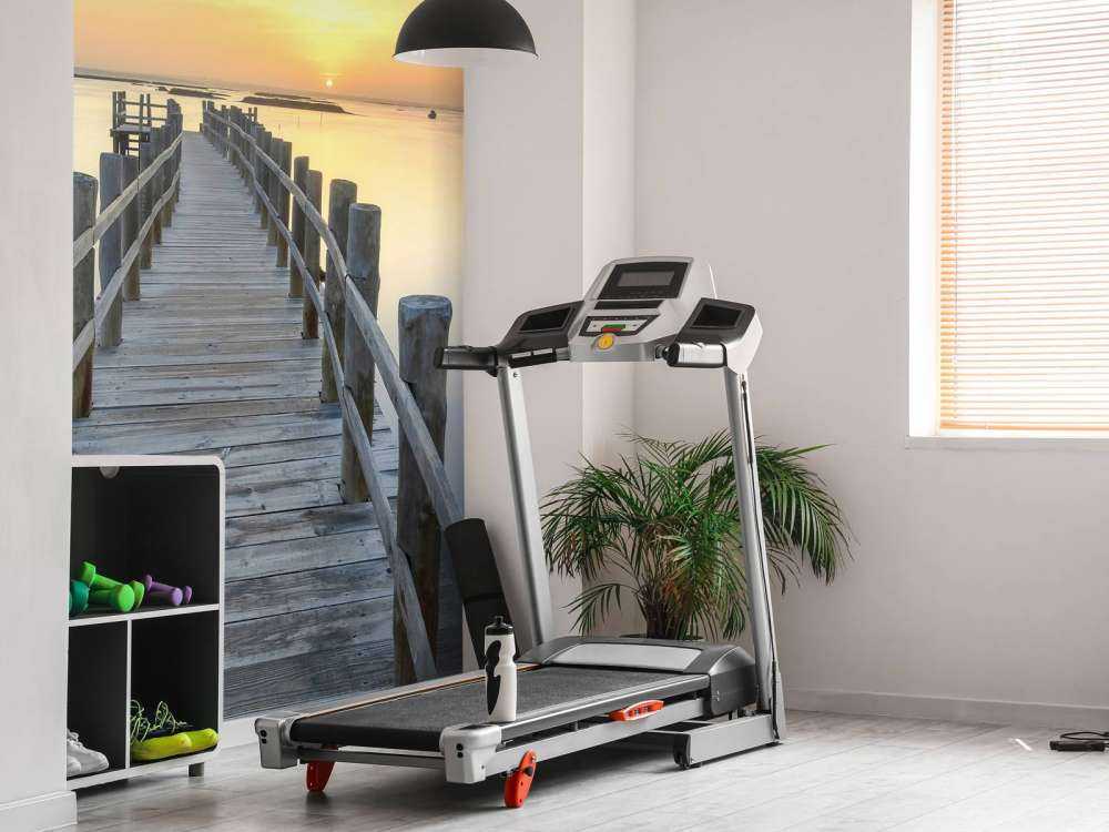 tretillatelse ved solnedgang