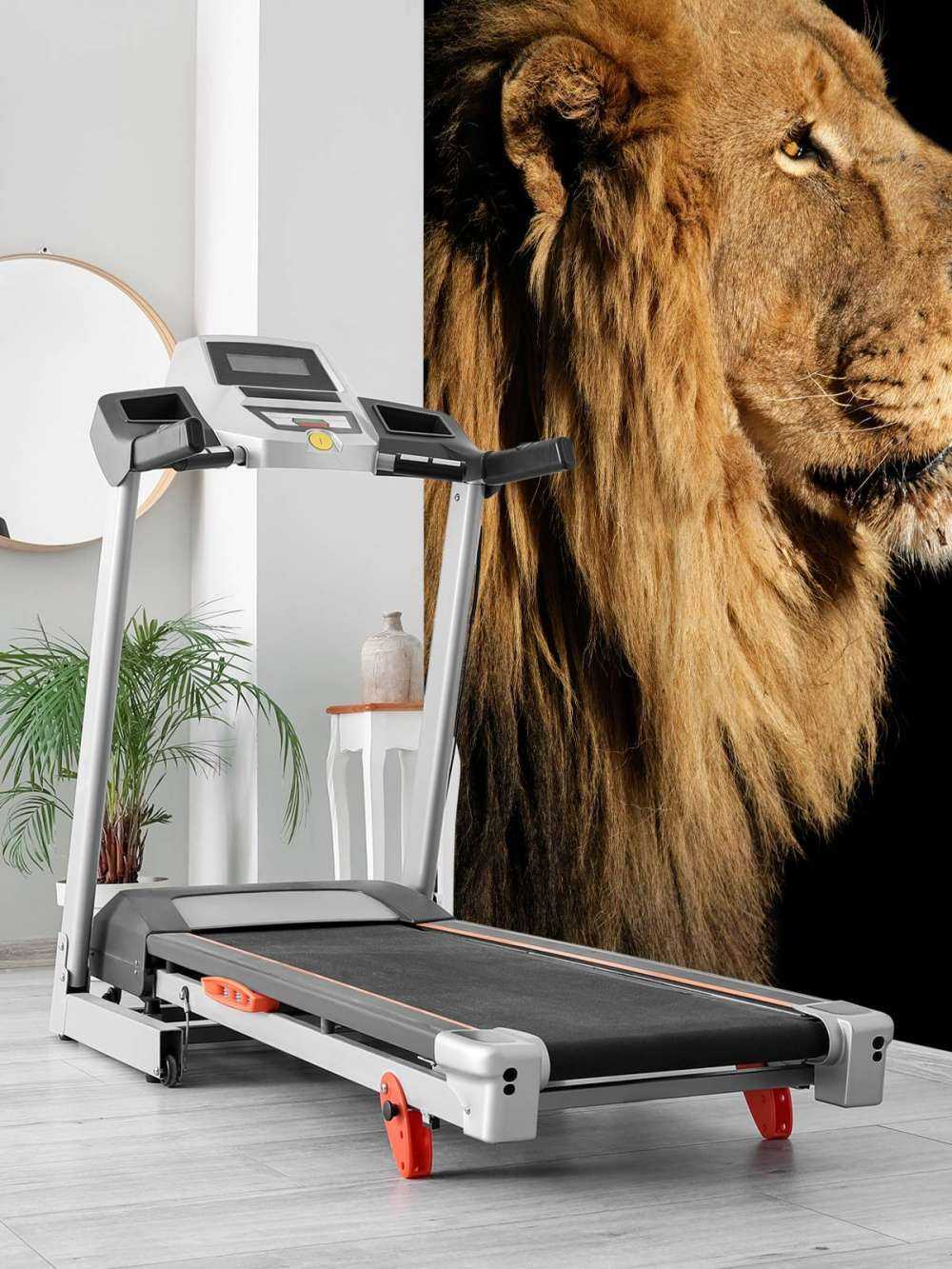 Sideprofil av en løve