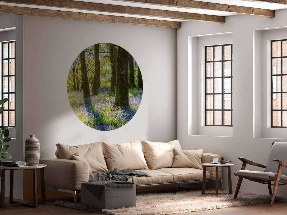 Vårpanoramaa i en skog