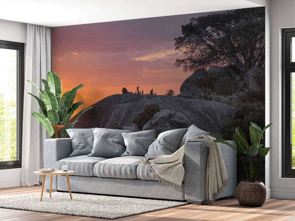 solnedgang over savannen